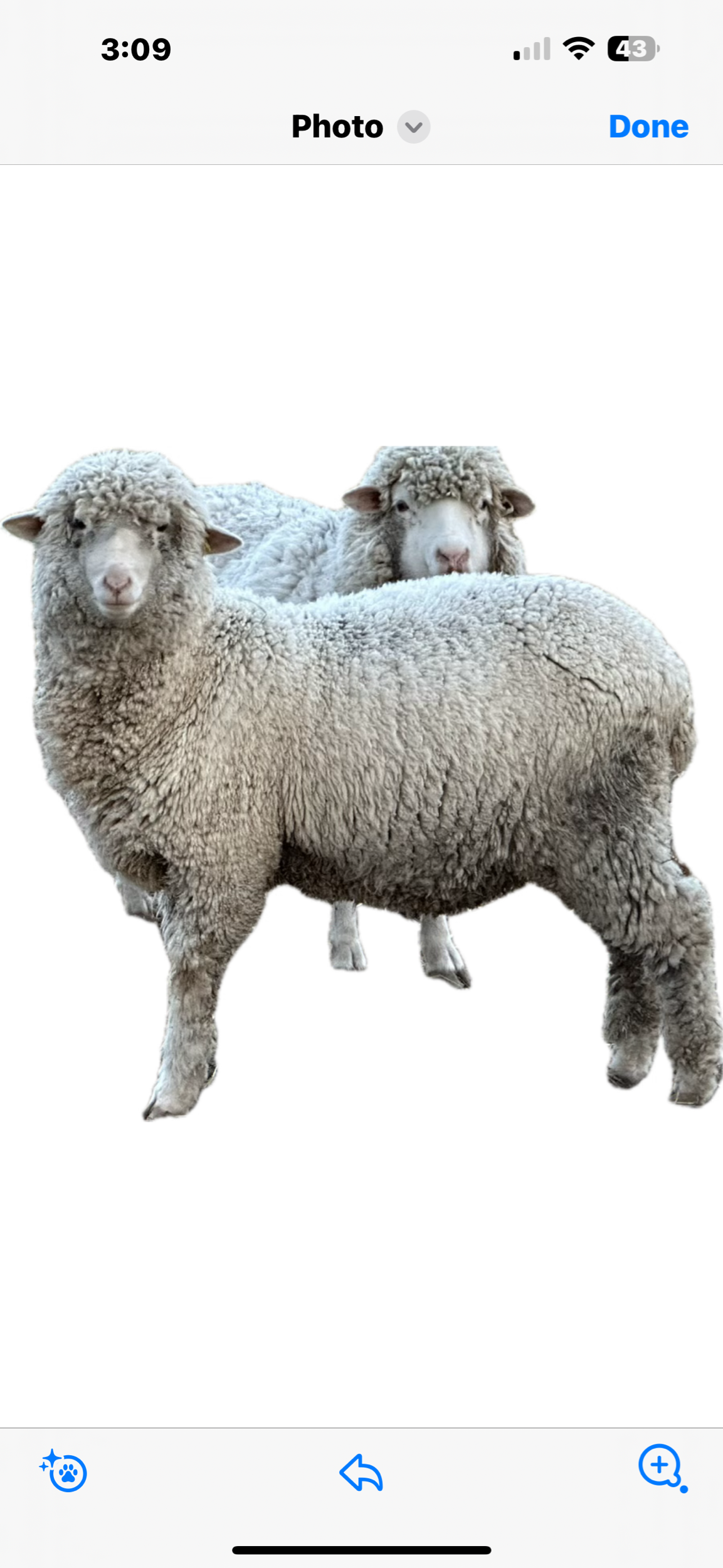 6155F791-447E-471A-A624-941F5BF84092.png