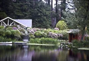 The Lodge .jpg