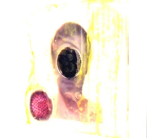 Tobin-Keller,-Adam's-Virus-.jpg