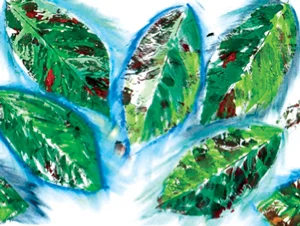 by Natalie Lindstrom