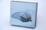 Kevin-Turcotte-light-box-1.jpg