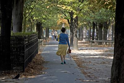 David Howell-afternoon sashay paris.jpg