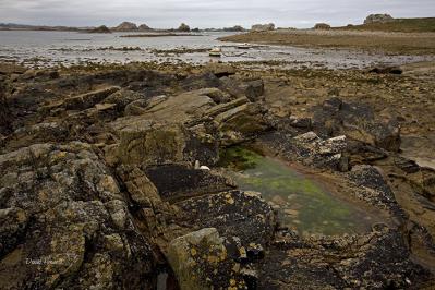 David Howell-wild shore plougrescant france.jpg