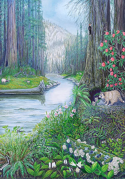 Kim Reid-Eel-River-Dreams-Large-View.jpg