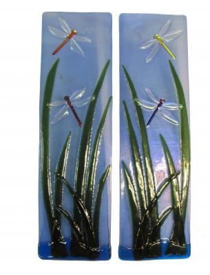 melissa zielinski-dragonfly marsh.jpg