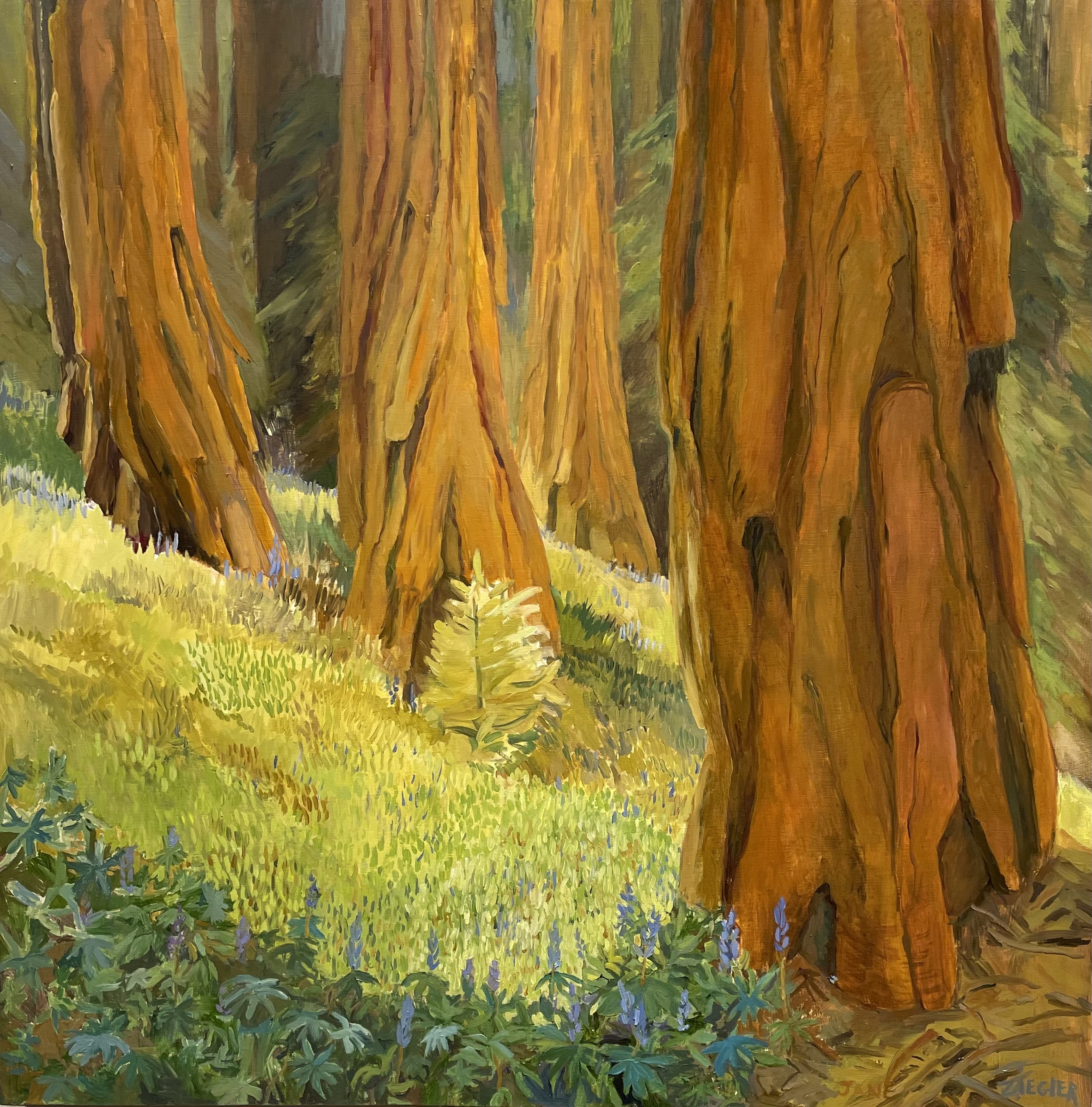 Humboldt Arts Council Annual Members Exhibition