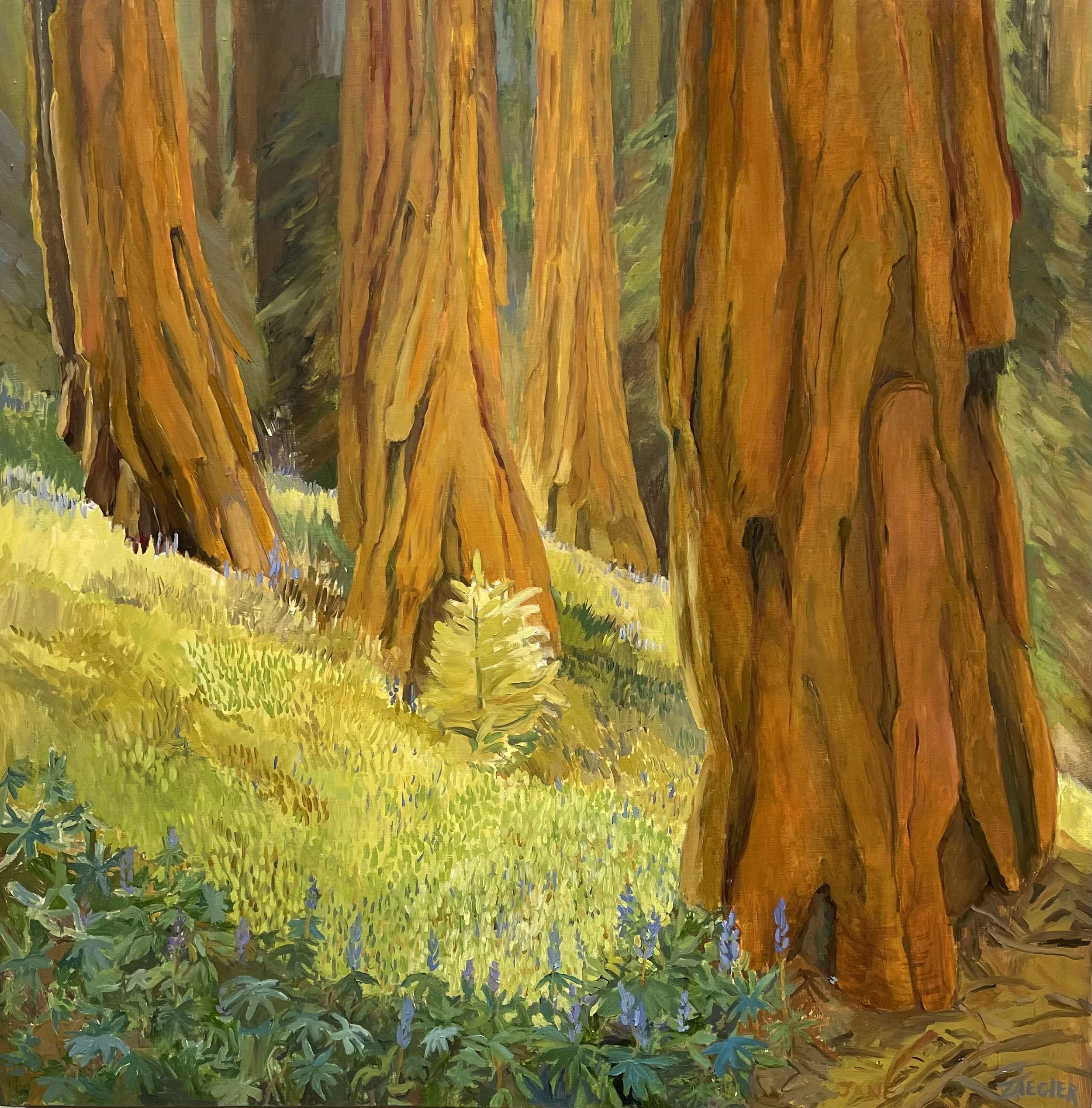 Humboldt Arts Council Annual Members Exhibition