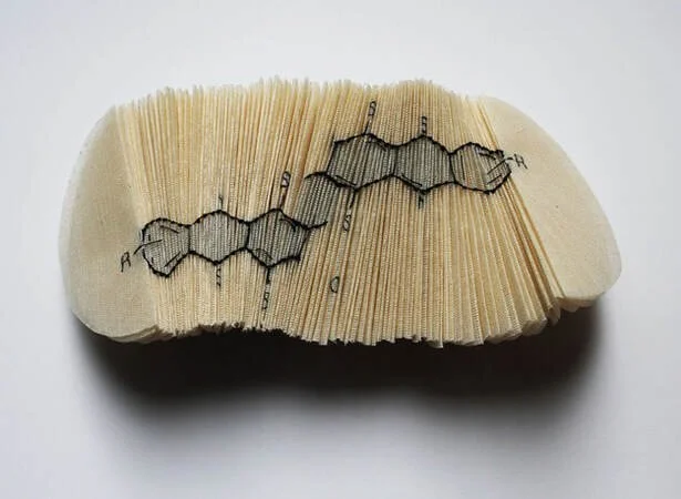 From Humboldt to Humboldt: Guest Curator m.p. Warming