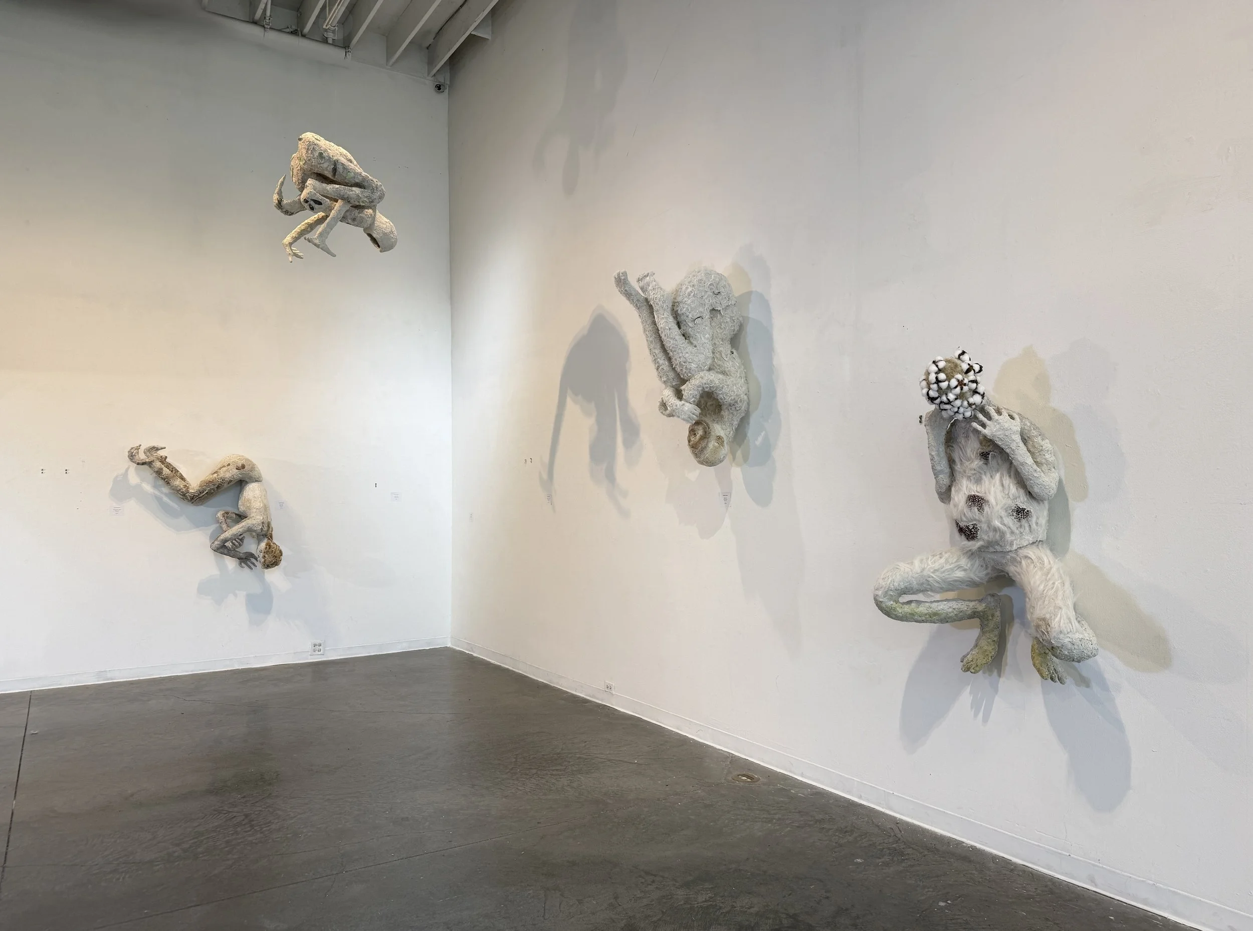 Art exhibition at Morris Graves Museum of Art in Eureka, showcasing psychology and flight or fight theme.