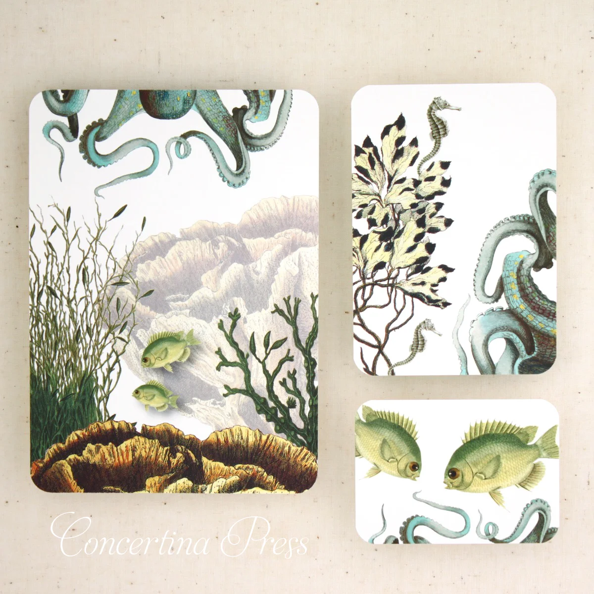Aquarium Wedding Invitations - Green Octopus - from Concertina Press - 9.jpg