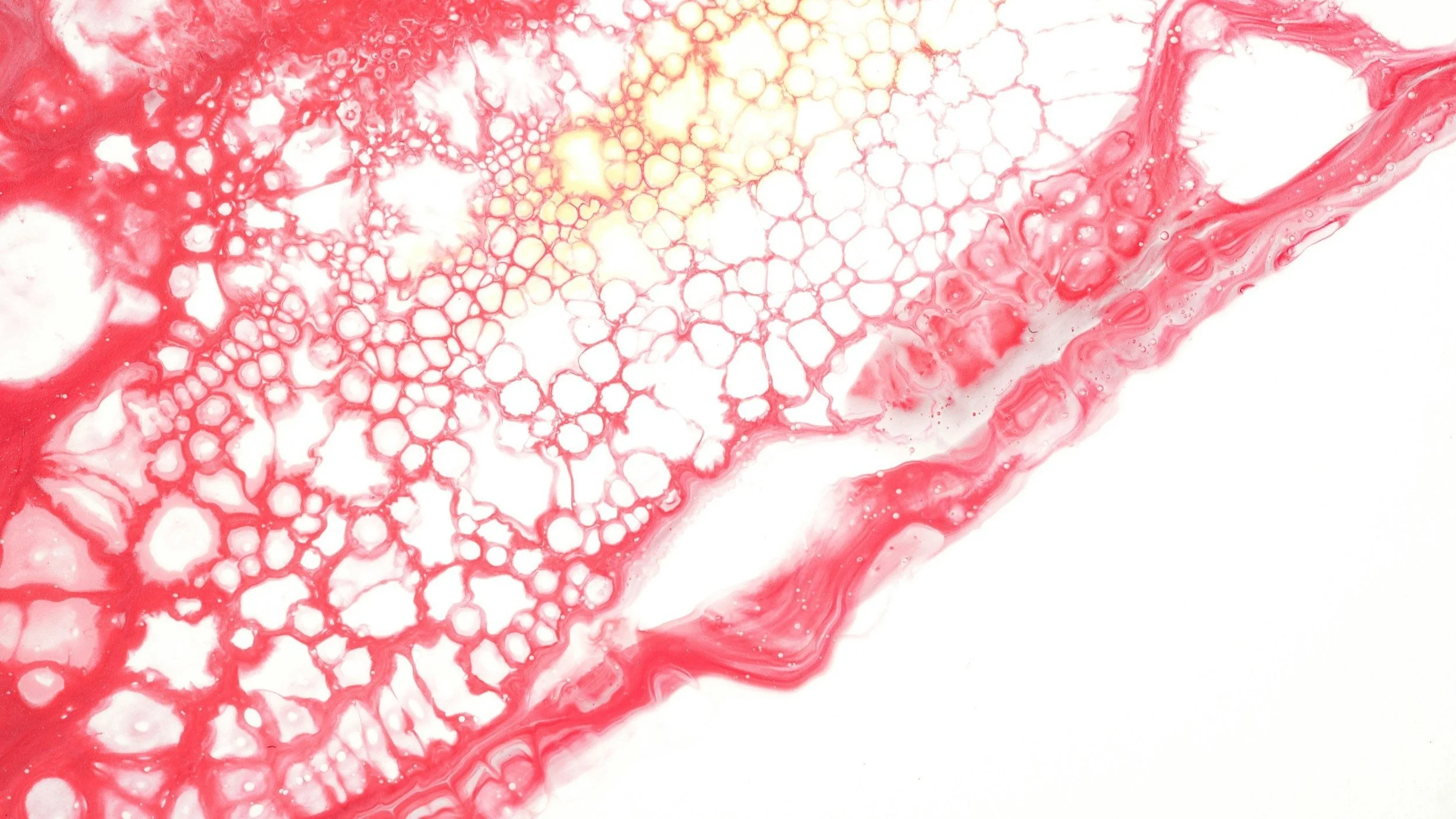 Expert Blood Work Analysis with Coach Cason