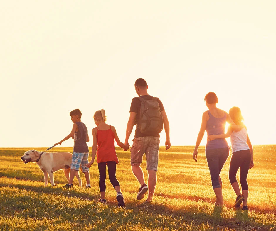 What our pets teach us about gratitude