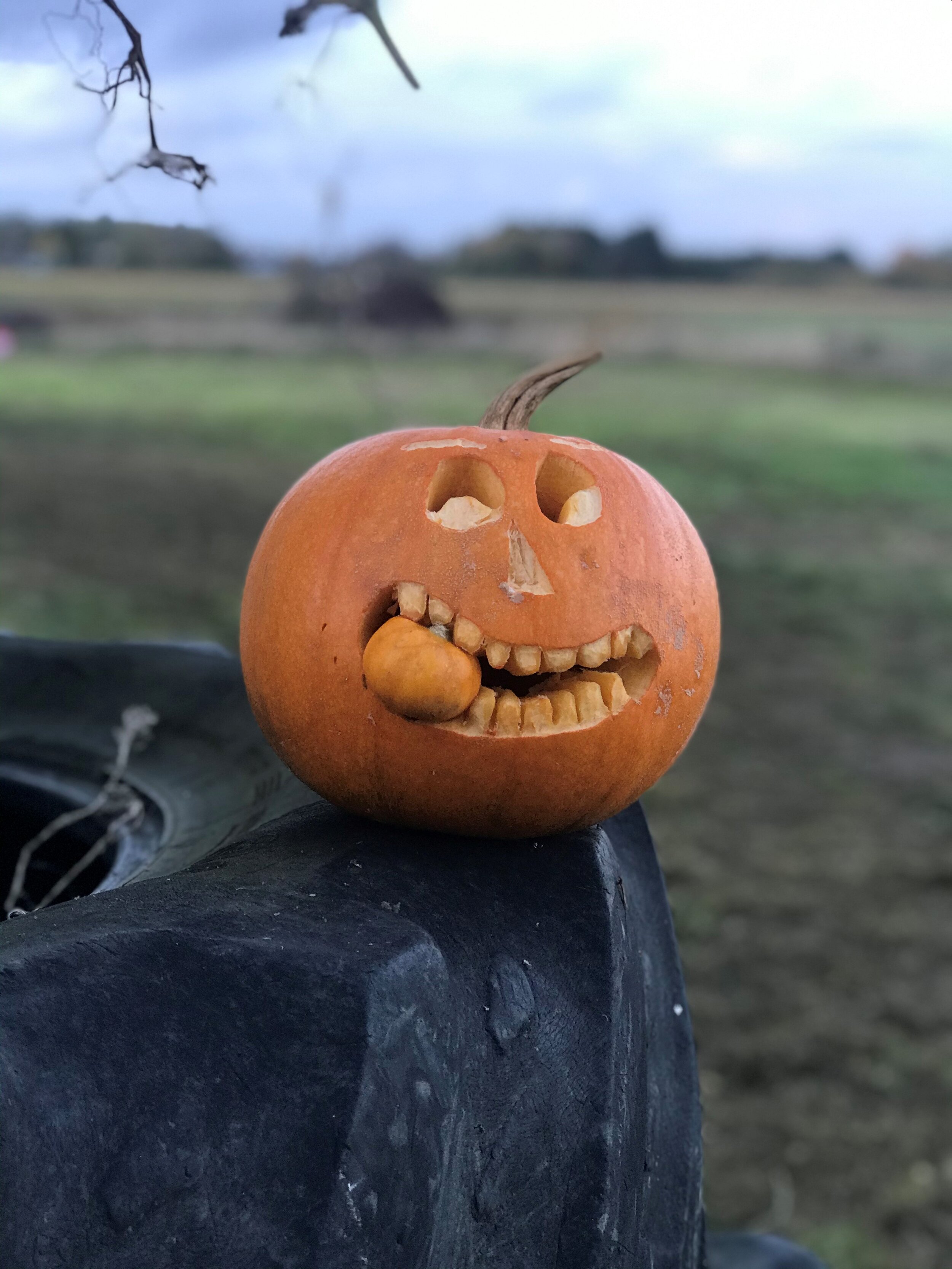 Pumpkin!.jpg