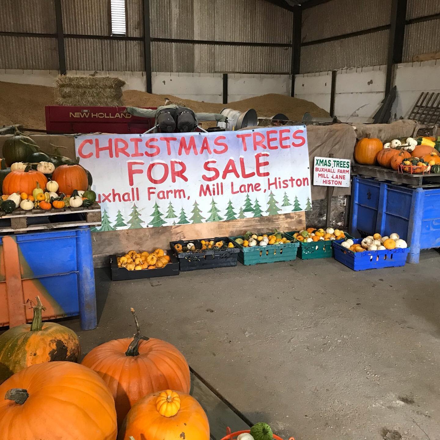 Busy planning click and collect options of Nordman Christmas trees from 28th November - please see our Facebook page and website for further details