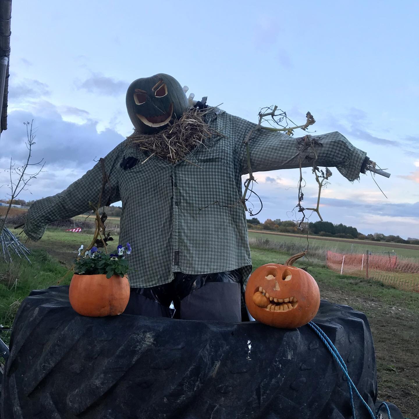 Wow, what a fabulously busy weekend at the pumpkin patch. So good to see so many people enjoying the great outdoors and 🎃🌞🌧🍰🧁 ☕️ open tomorrow from 10-4pm @Buxhall Farm, Mill Lane, Histon CB249HW 
#pickyourown #pumpkinpatch #farmlife