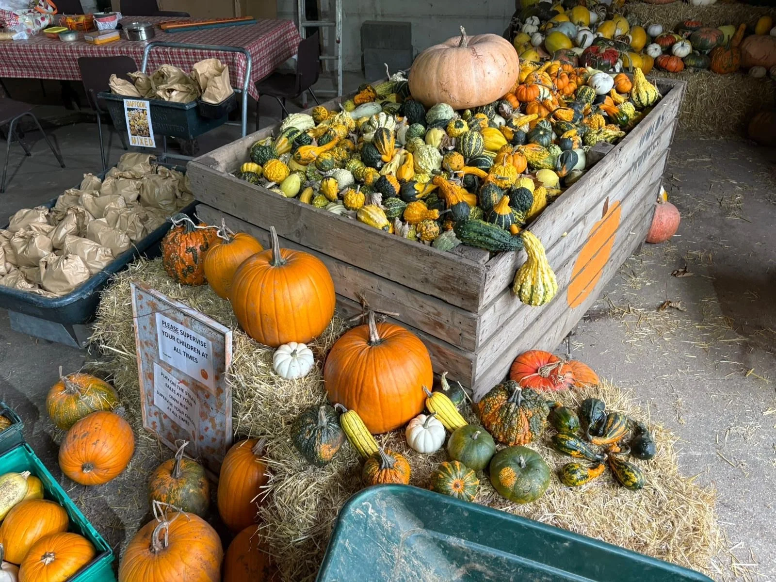 Gourds.jpg
