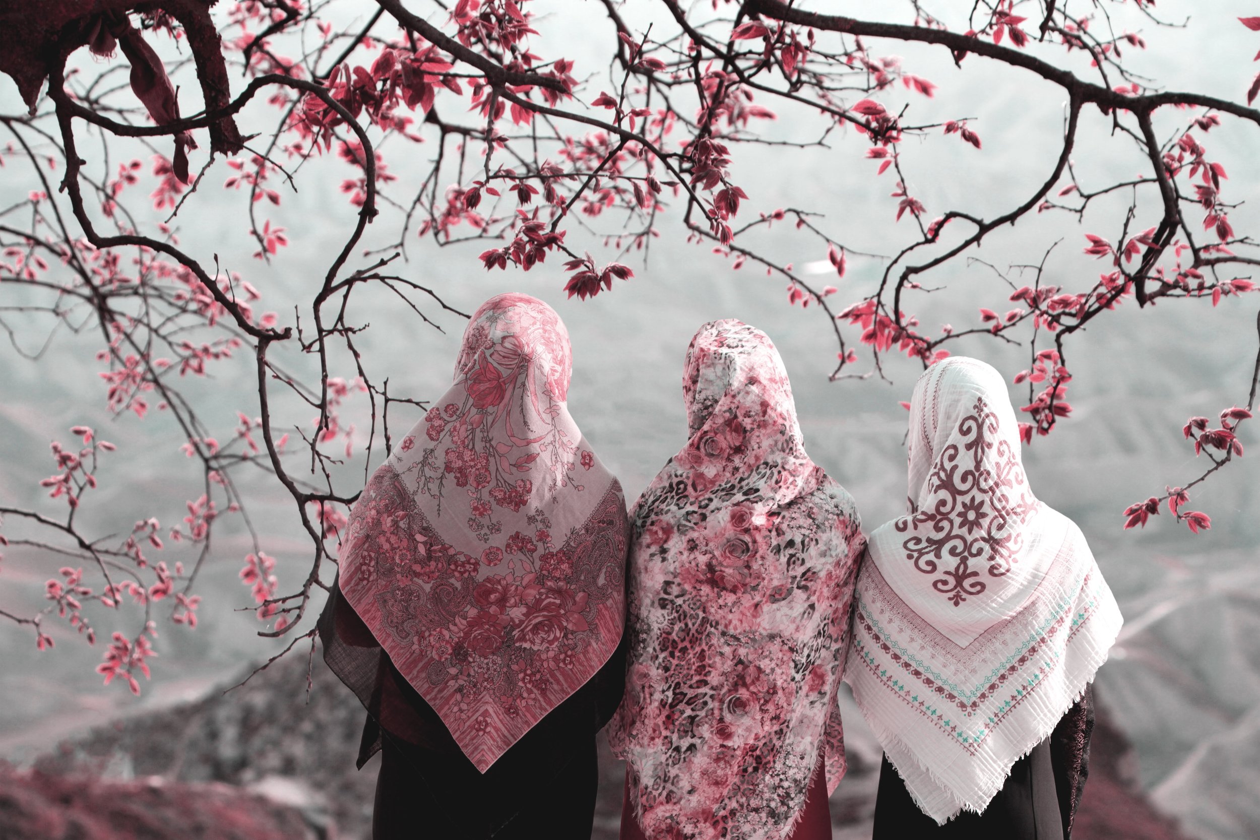 Status of Women in Islam — GainPeace photo