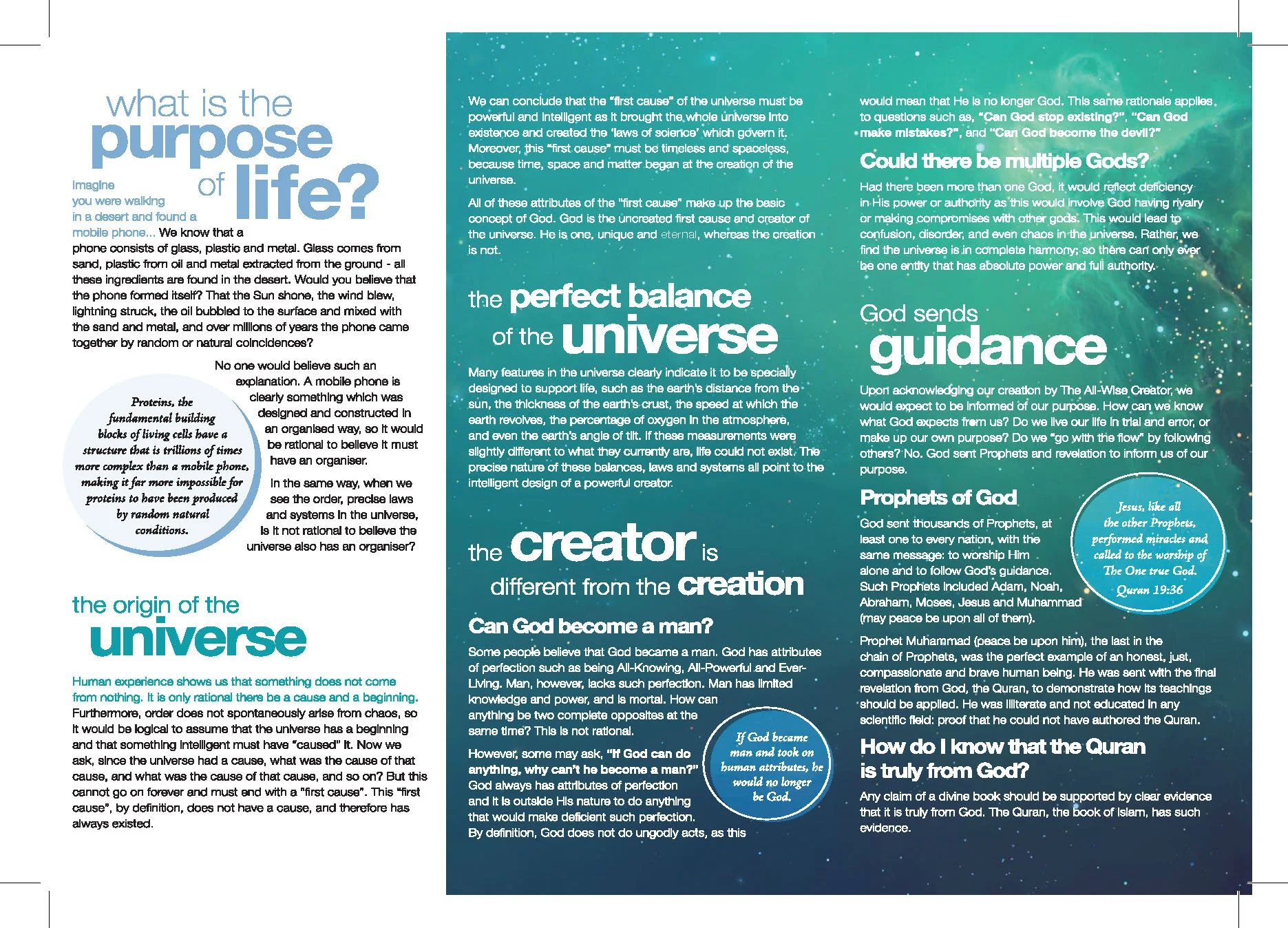 ICNA POL Brochure HIGH RES (1)_Page_2.jpg