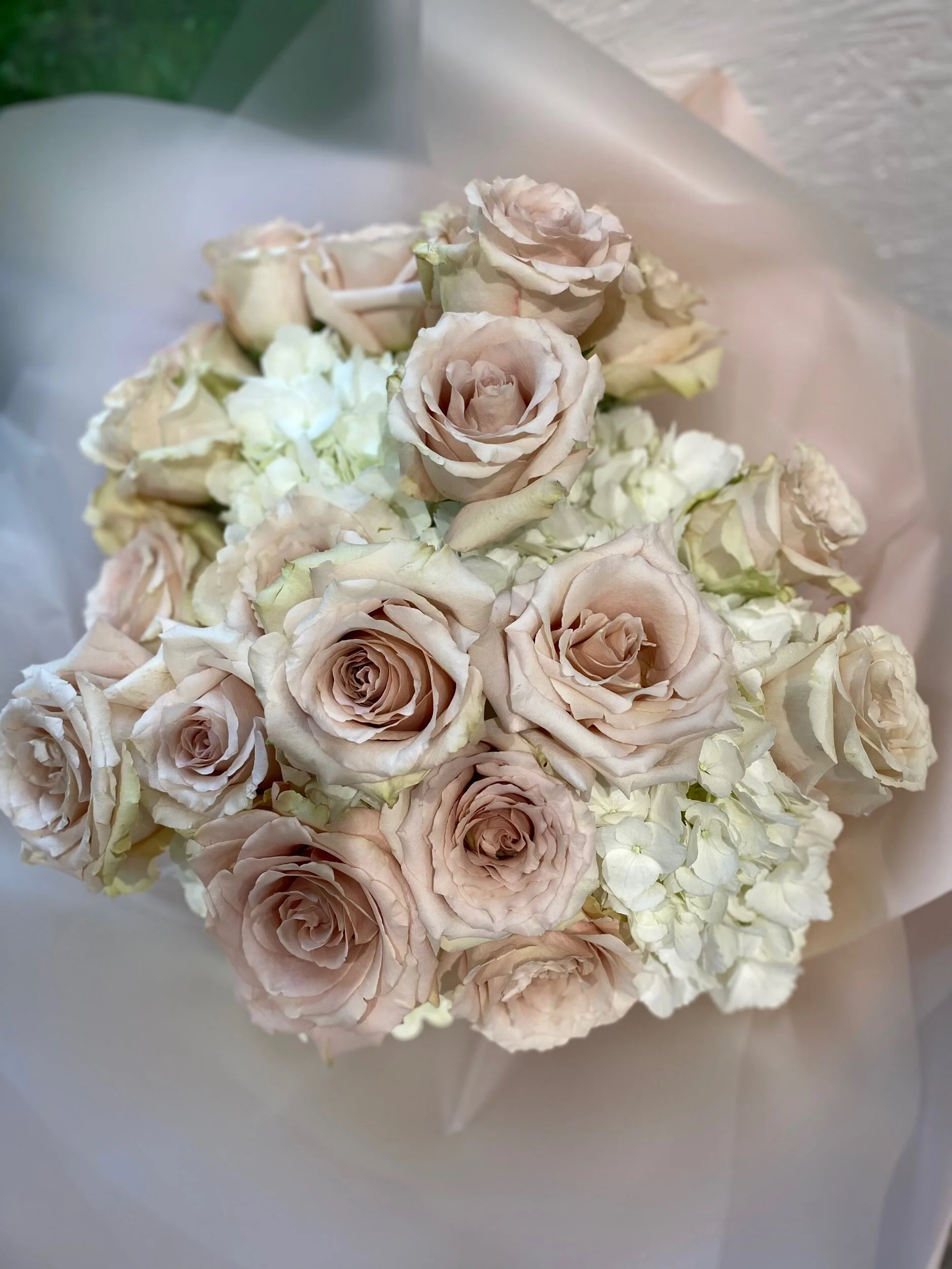 C10874FA-3DDC-4DB6-81AB-0B38B68AFFD4