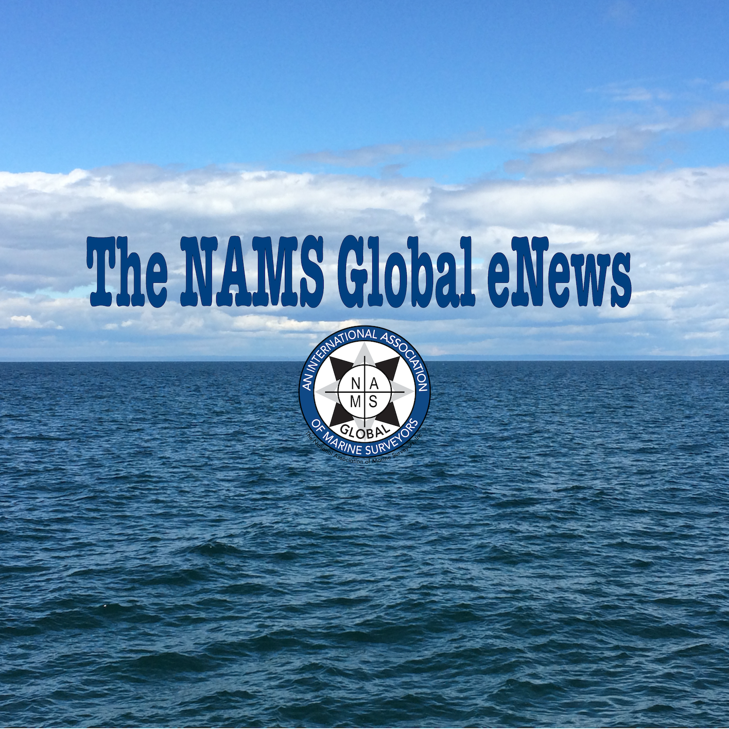 NAMSGLobal eNews,March 2021