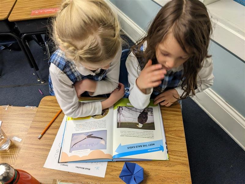 Exploring PNW birds in 1st grade