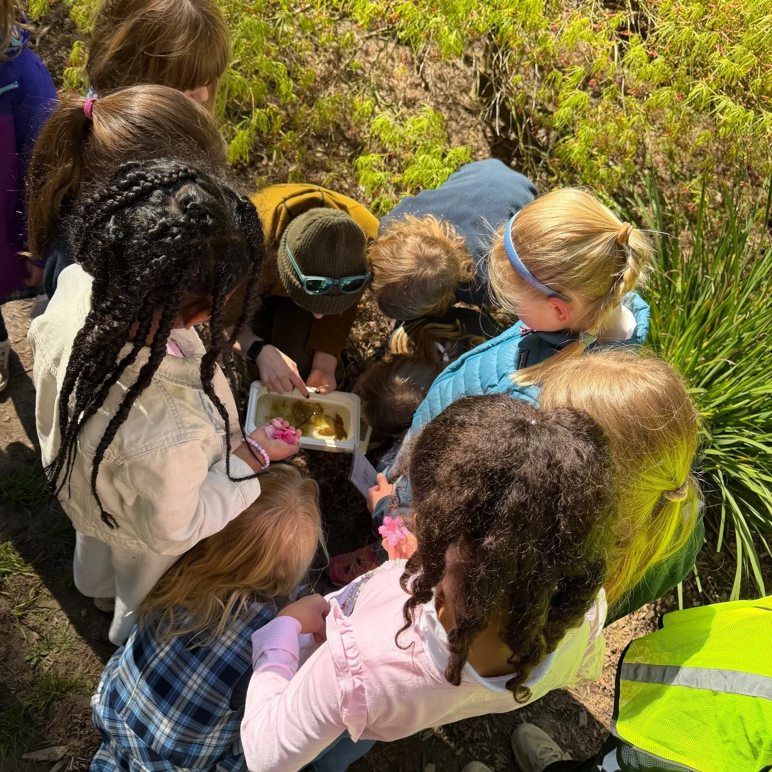 Students don&rsquo;t just read about the natural world &mdash; they go out and look closely.

Asking questions. Noticing details. Learning to pay attention to what&rsquo;s right in front of them.

#goodnesstruthbeauty #sccslife #classicalchristianedu