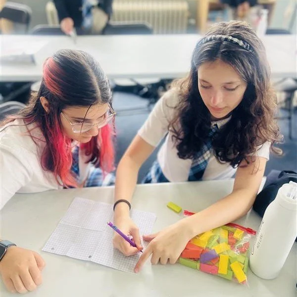 8th Grade life lately:

Rube Goldberg machines are becoming increasingly elaborate as students design chain reactions and problem-solving systems, Bayeux Tapestry embroidery projects continue appearing in every spare moment around the school, and fig