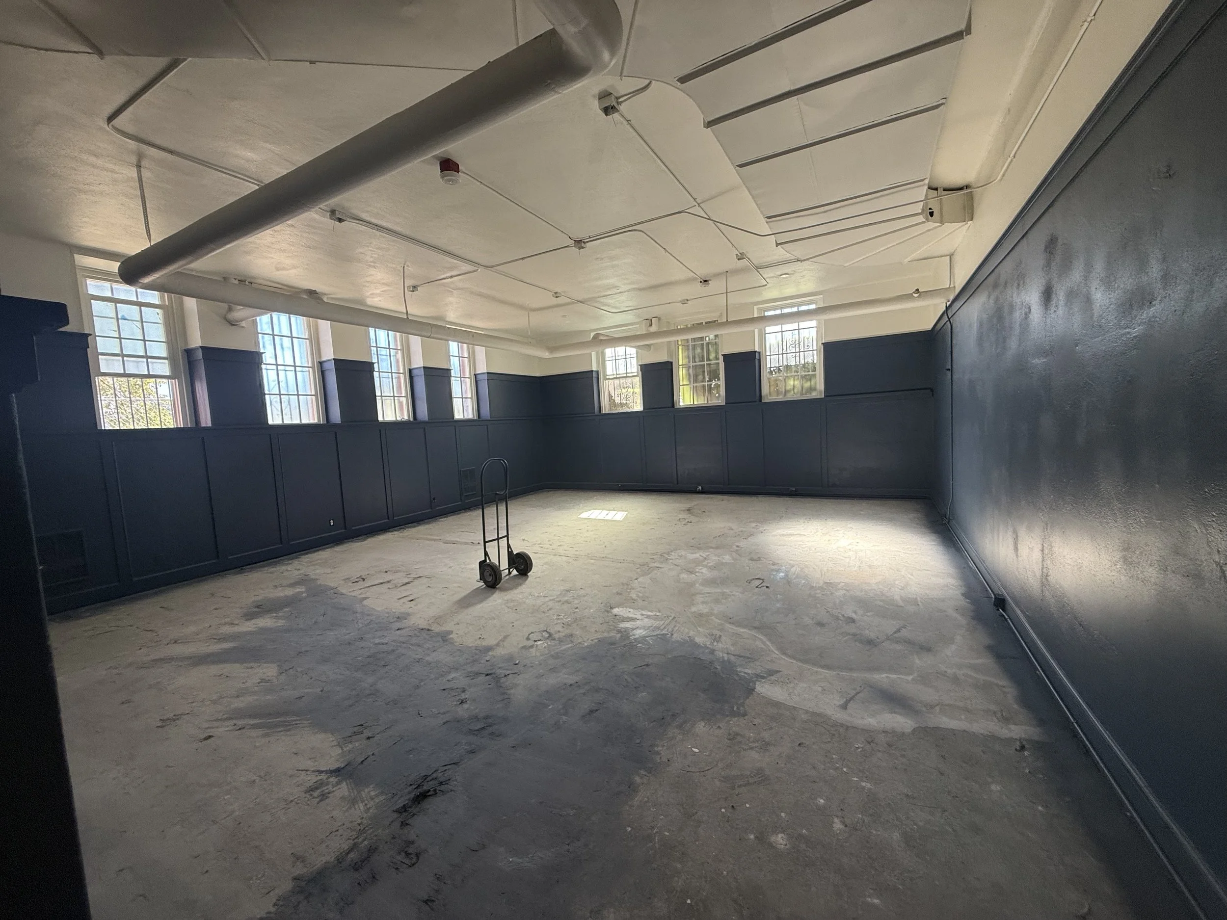 new library.jpeg