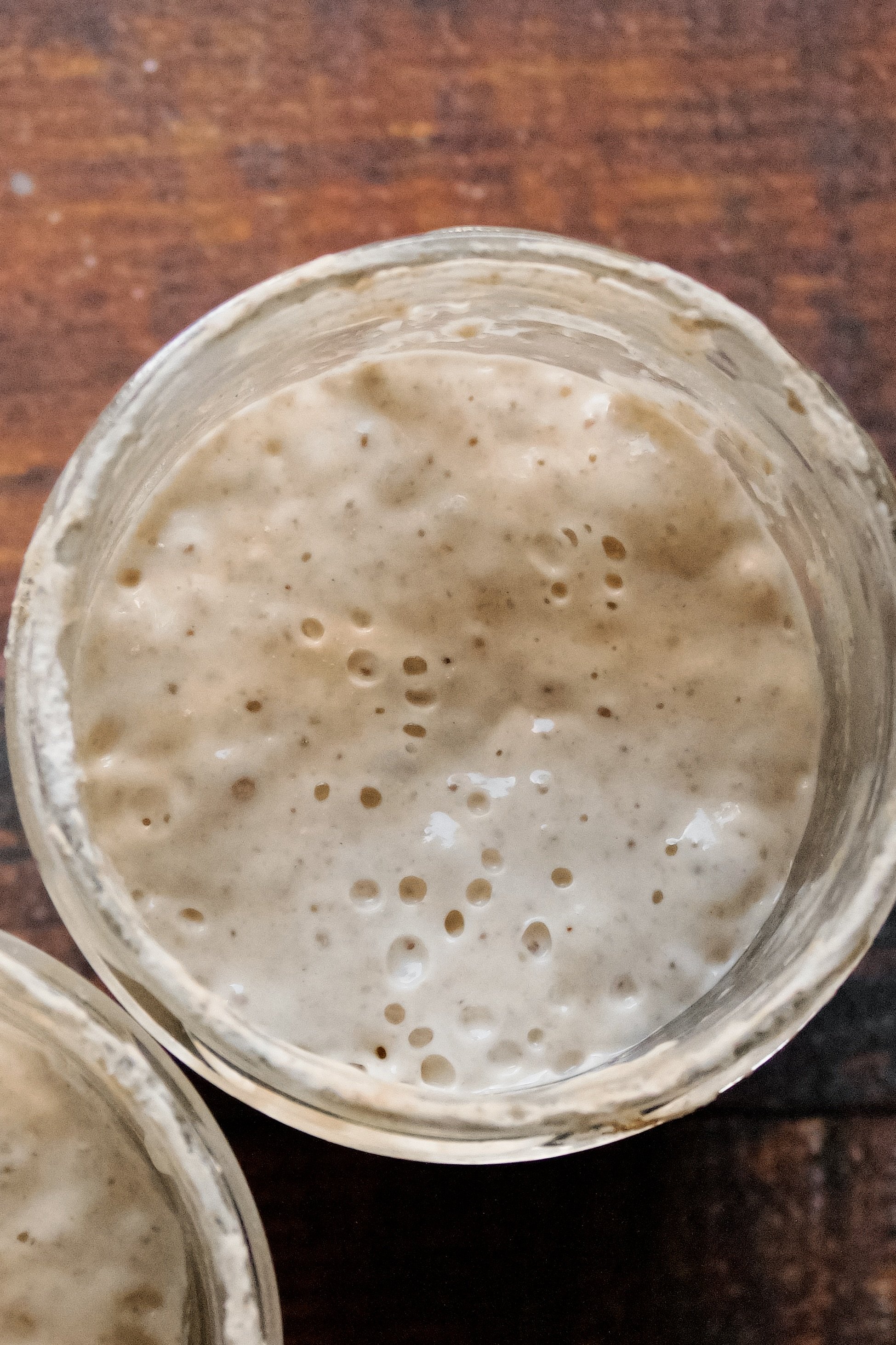 Sourdough Starter Maintenance Routine