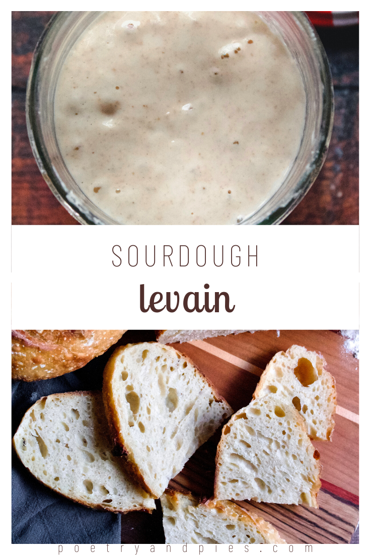 Baking with Sourdough Starter: Levains — Poetry & Pies