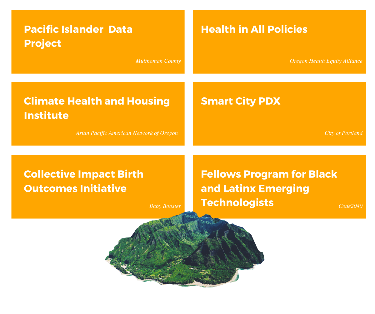 Fellows Program Design (5).png