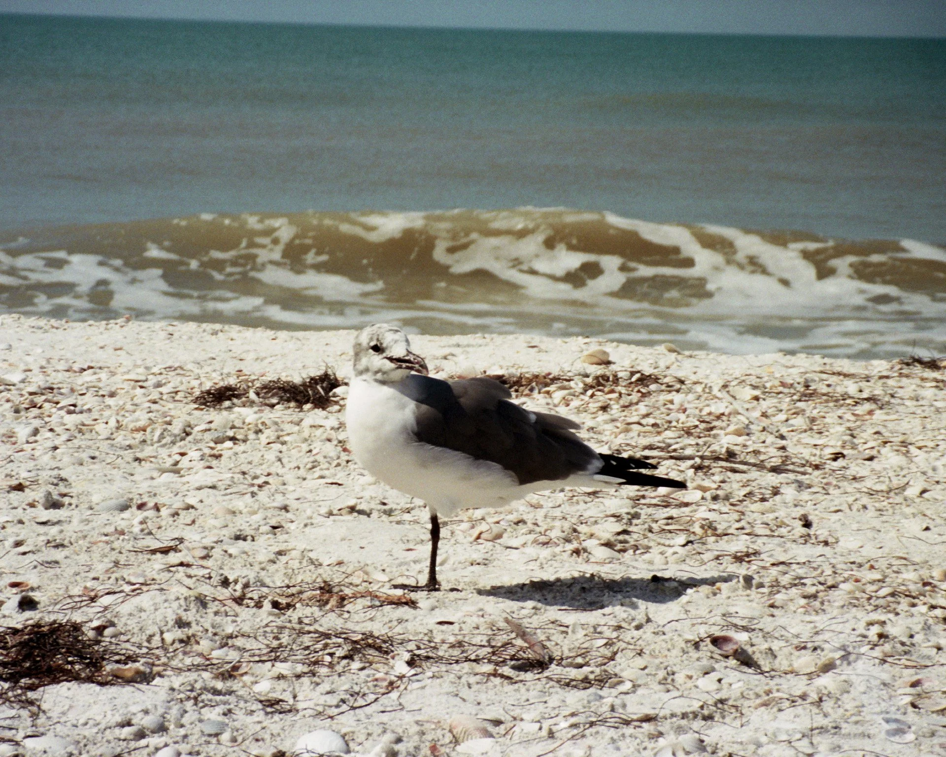 IMG_0031.jpeg