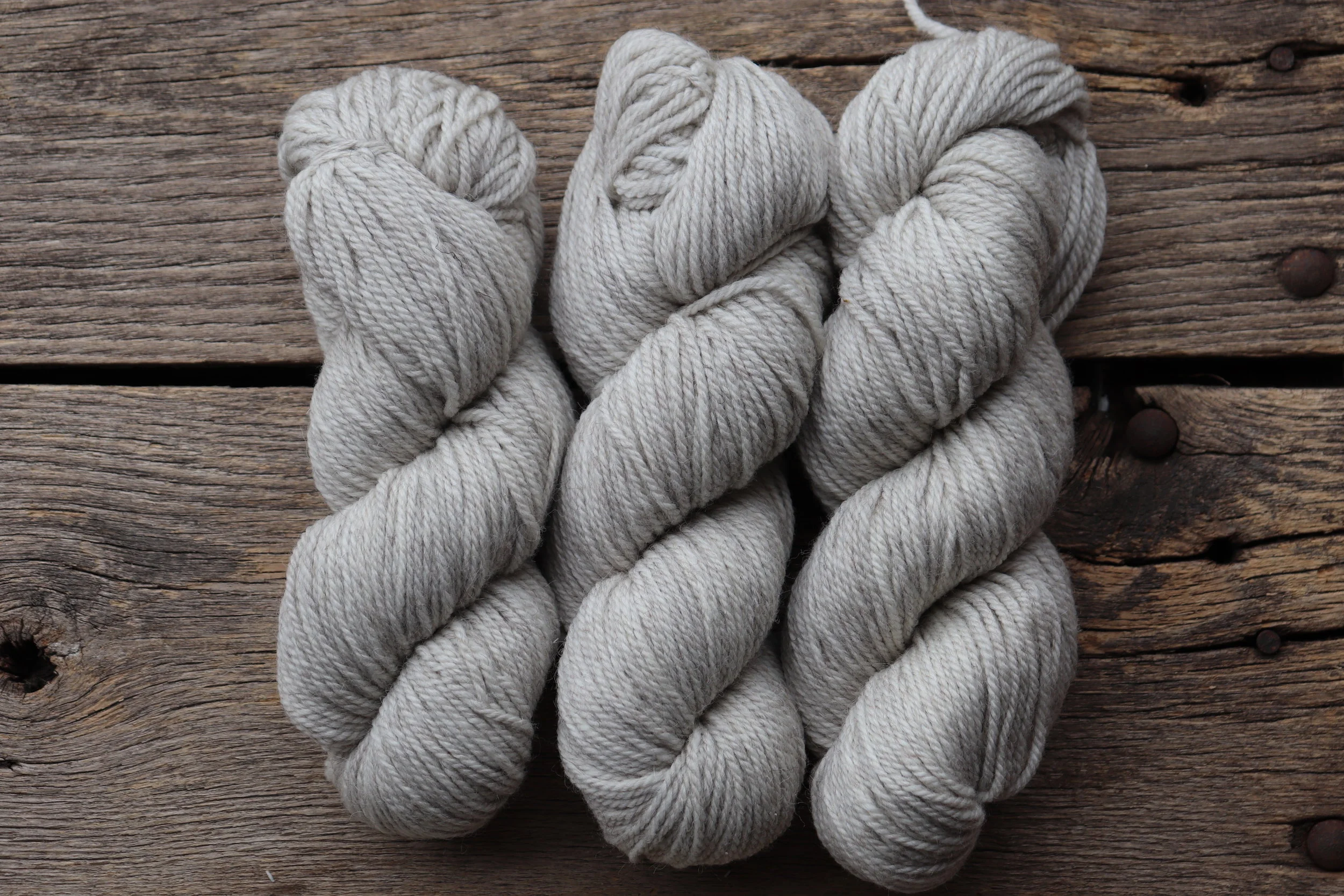 Masham + Falkland Island 