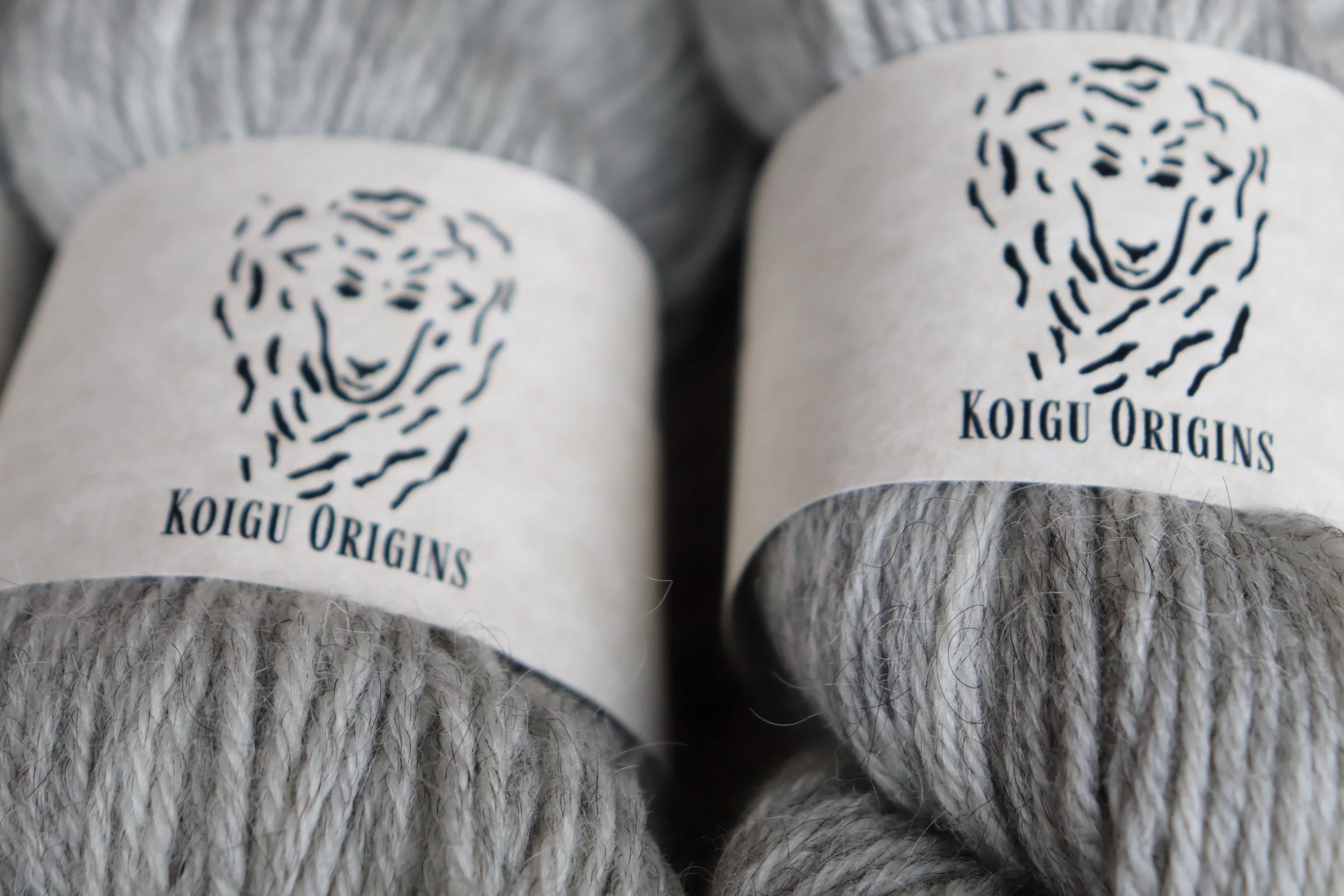 Corriedale + Gotland 