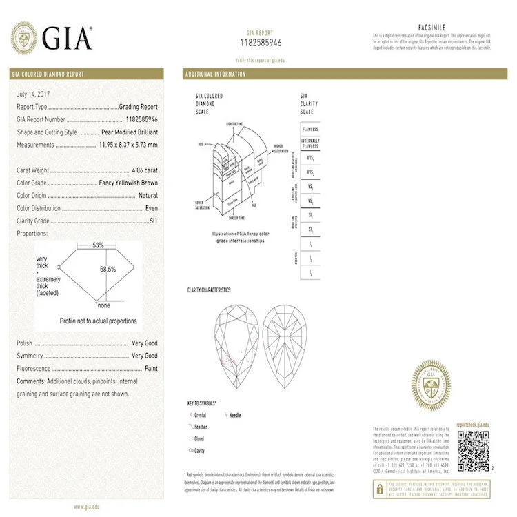 4.06ct+PS+FYB+GIA-1.jpg
