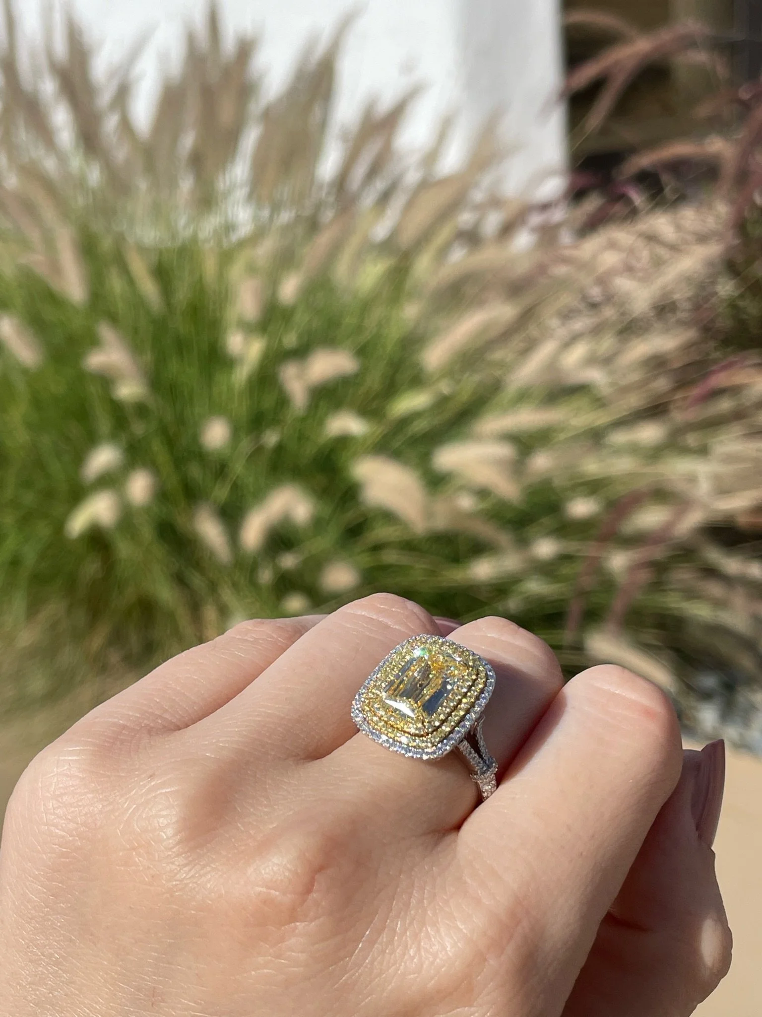 4.01ct Ashoka hand.JPG