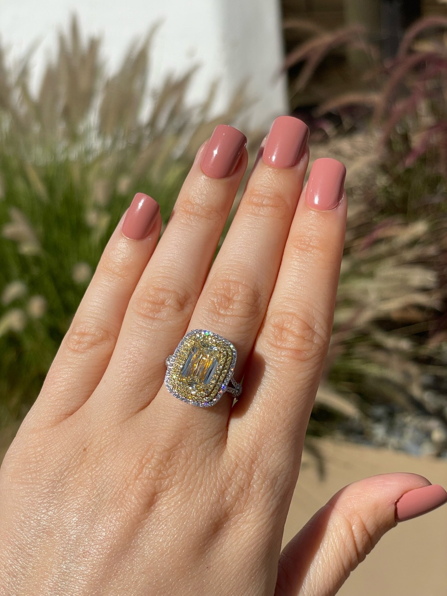 4.01ct Ashoka hand 3.JPG