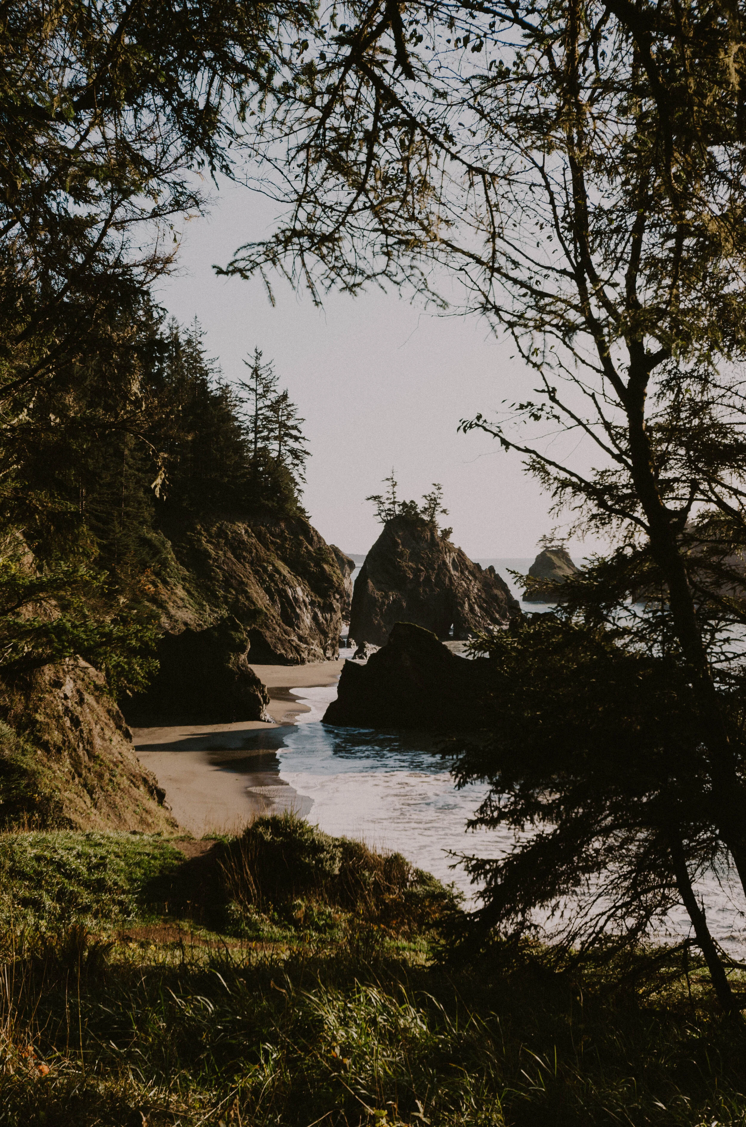 OregonCoast20190.jpg