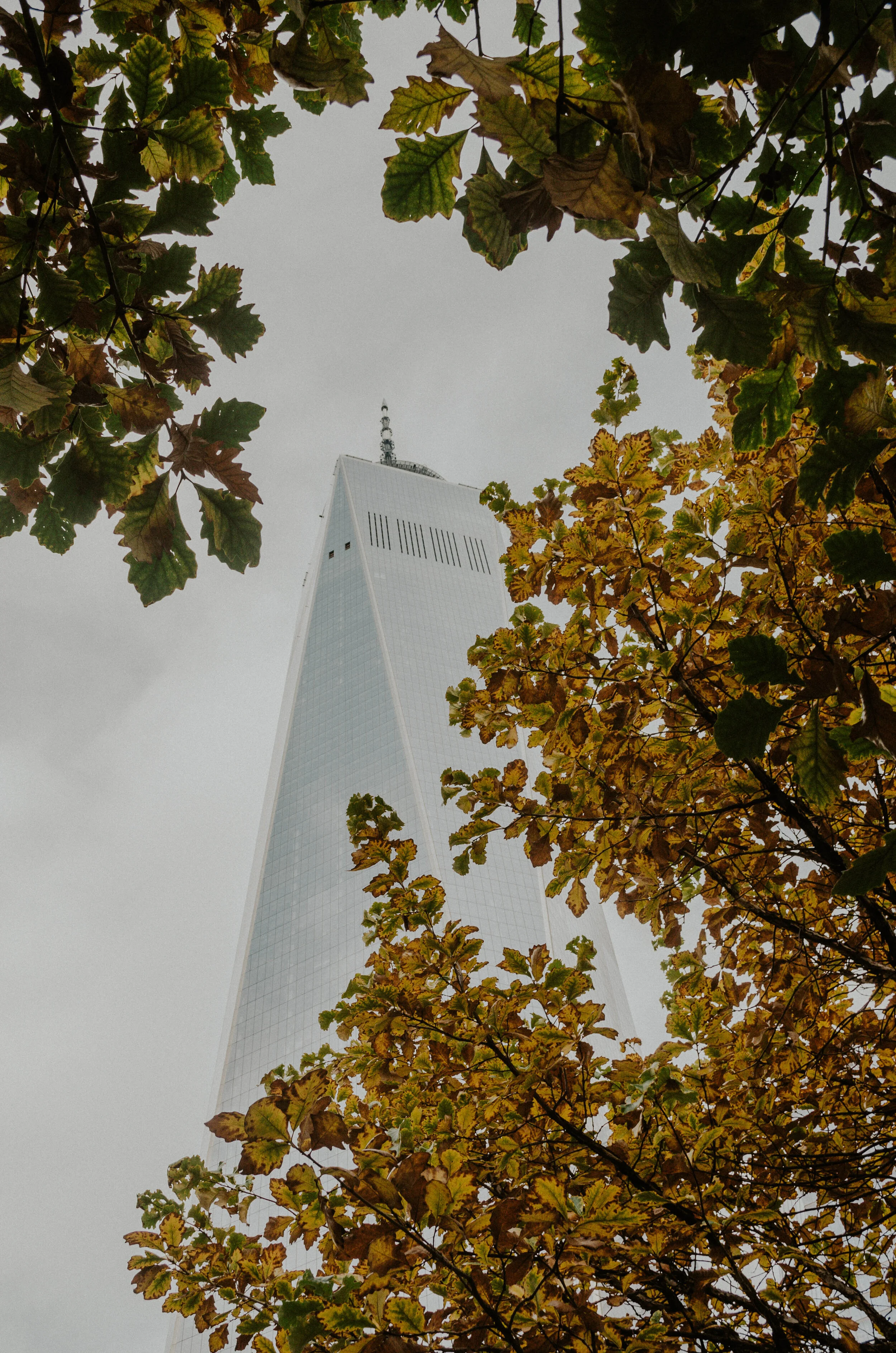 NewYork-4.jpg