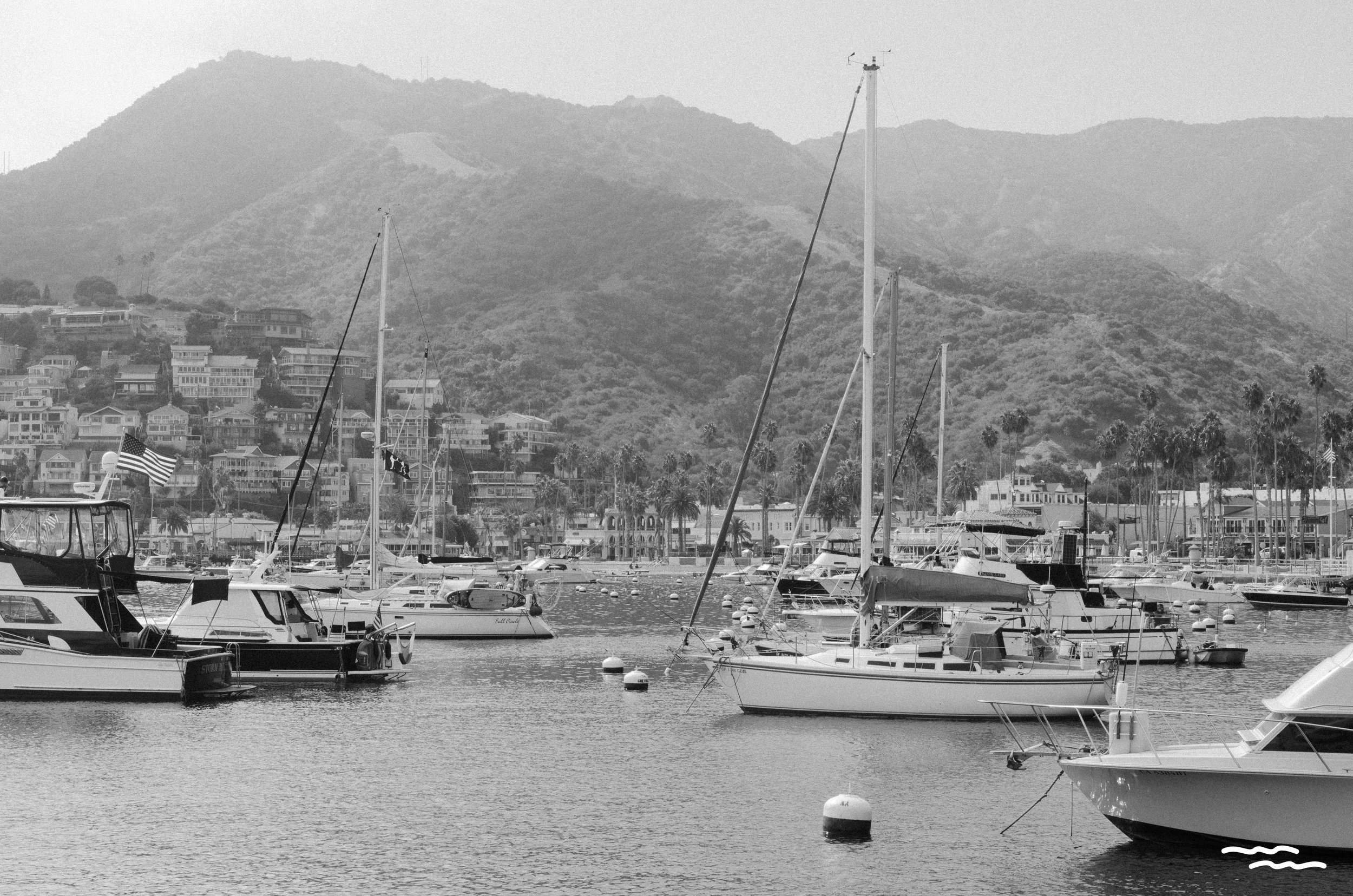 Catalina-3.jpg