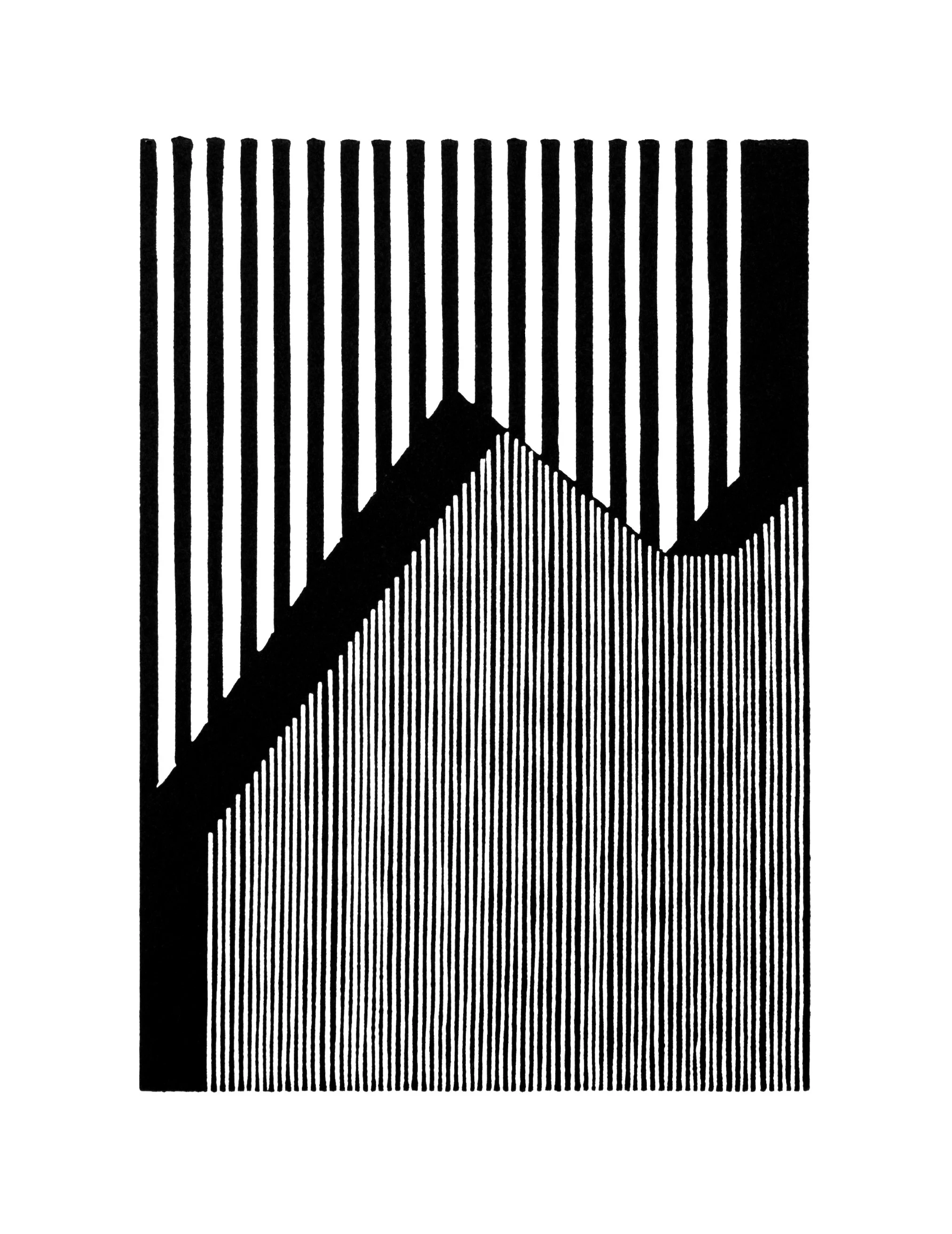 adjustments white NEW.jpg