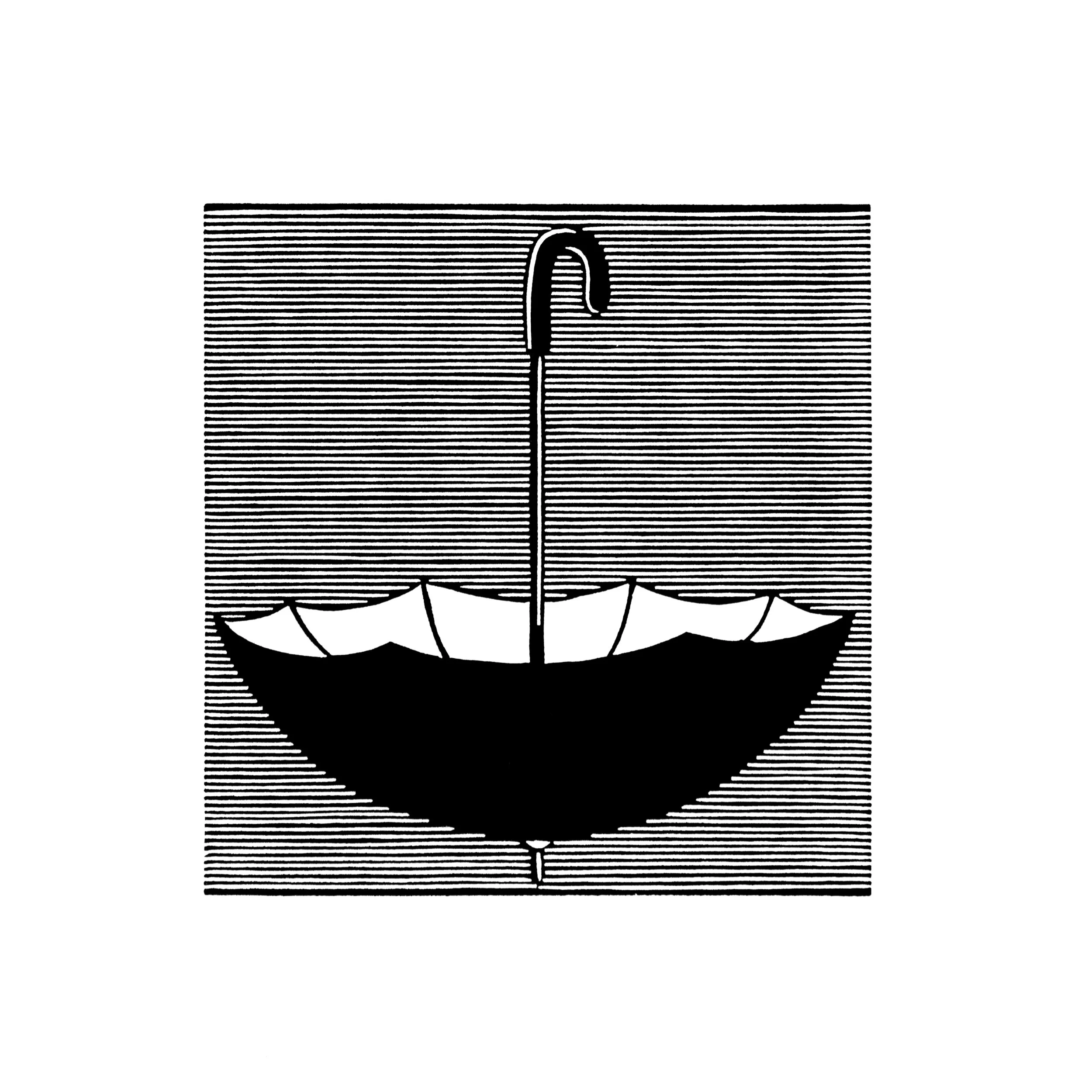 optimism white NEW.jpg