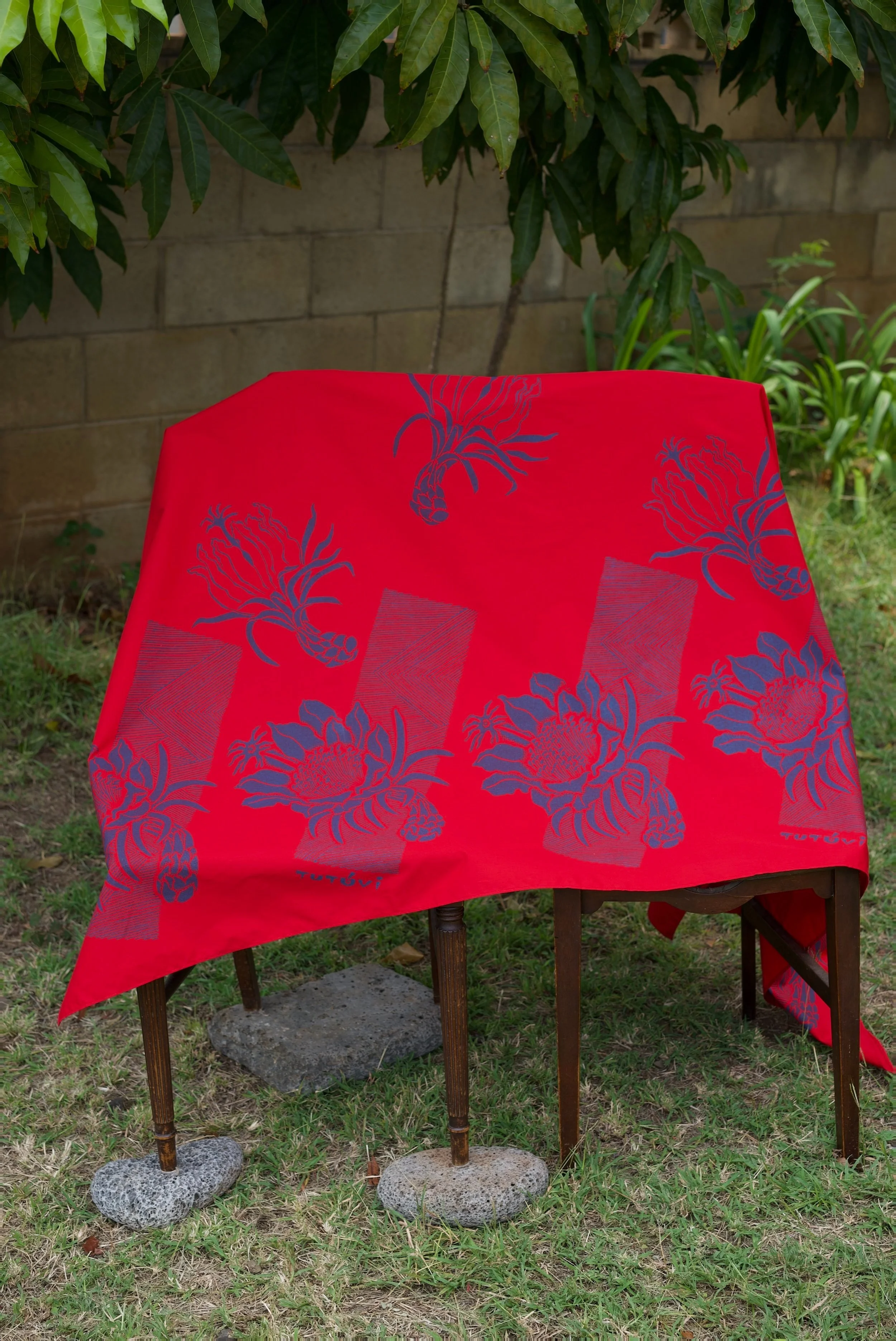 Lavalava – Night Blooming Cereus