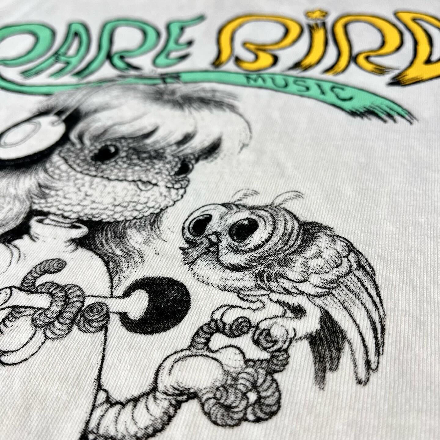 3 color very fine halftone print on Comfort Colors tees for Chicago&rsquo;s own @rarebirdsmusic! Lizard and owl buddy art by @mattgordon_paintings 
💥🏠💥

#explodinghouseprinting #rarebirdsmusic #chicagomusic #musicstore #chicago #chicagoscreenprint