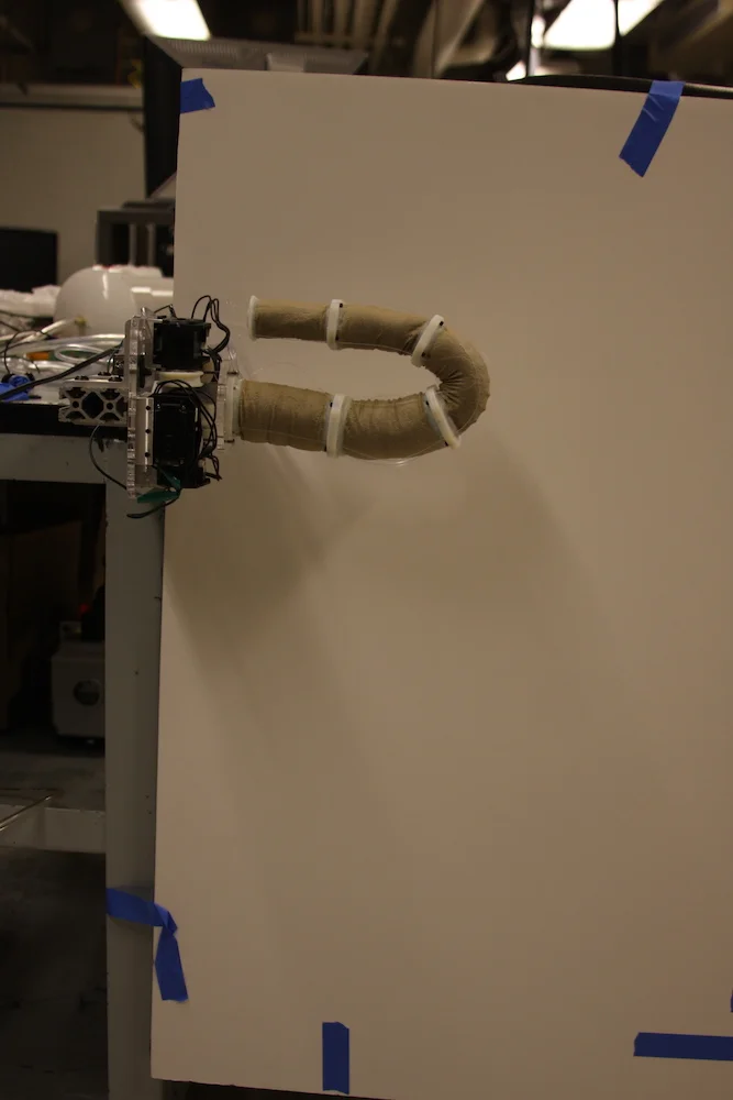 snakebot3.jpg