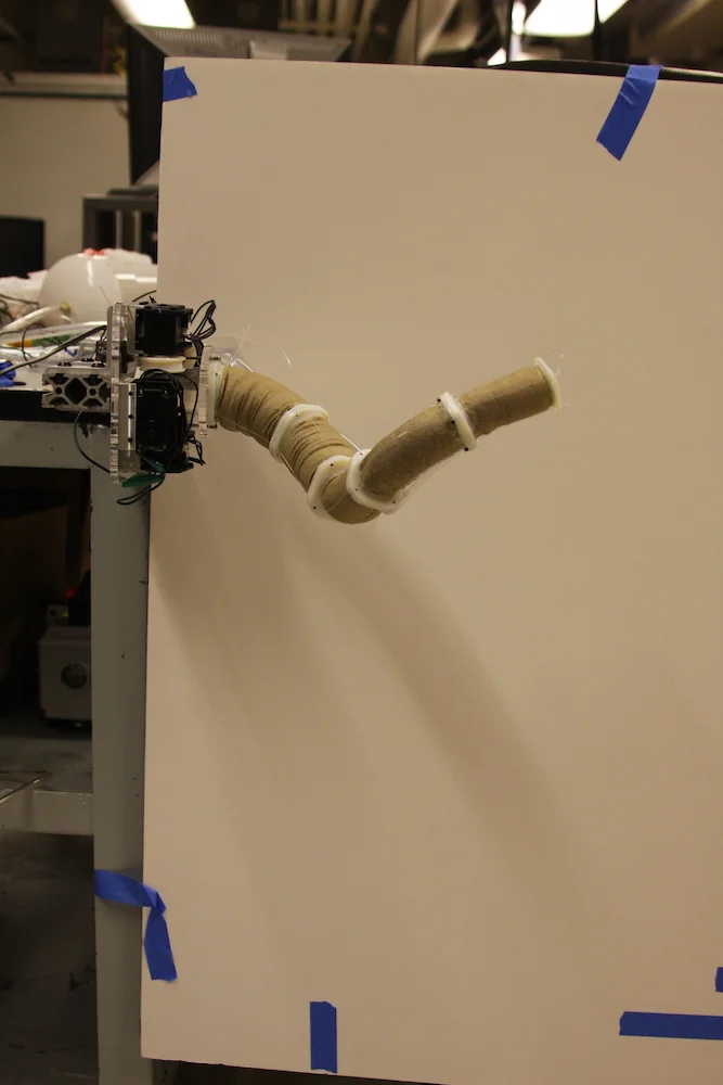 snakebot4.jpg