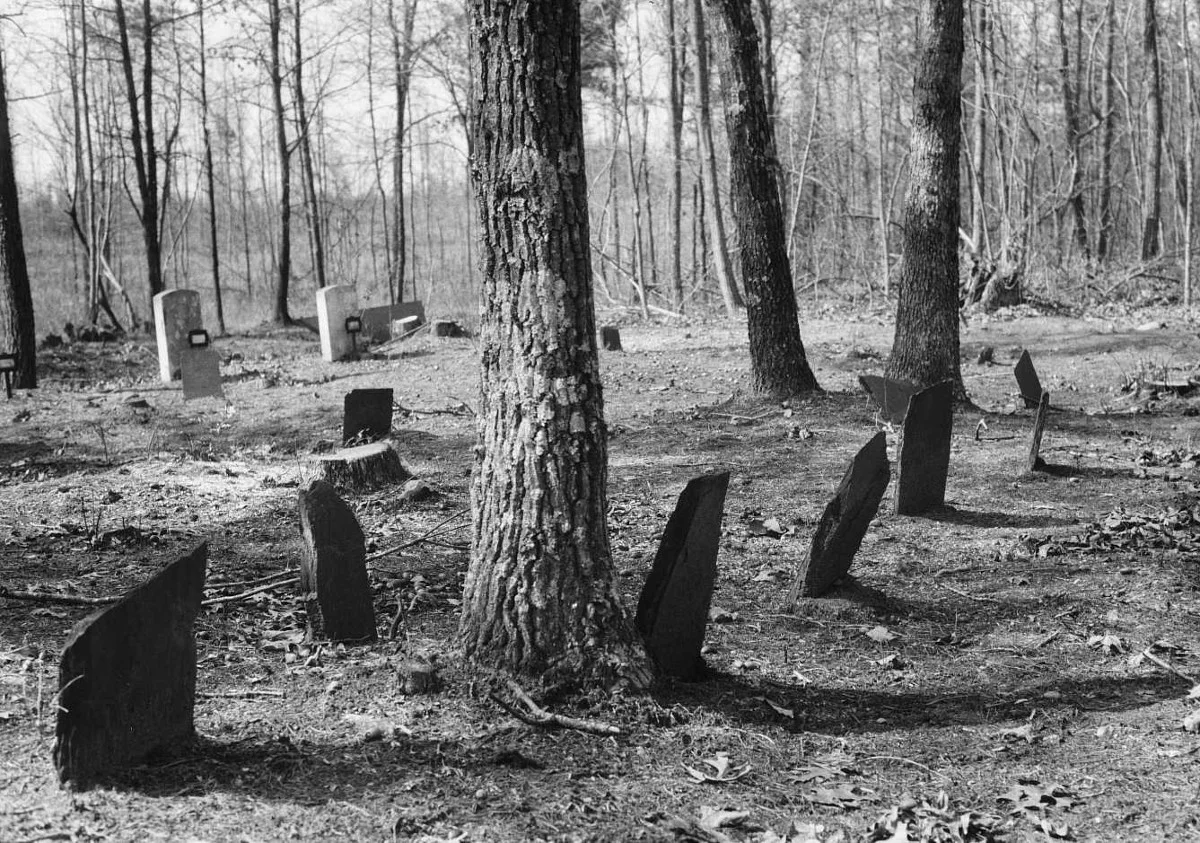 Figure 1. Stanton Family Cemetery, Buckingham County, Virginia, n.d.. Courtesy Virginia Department of Historic Resources.