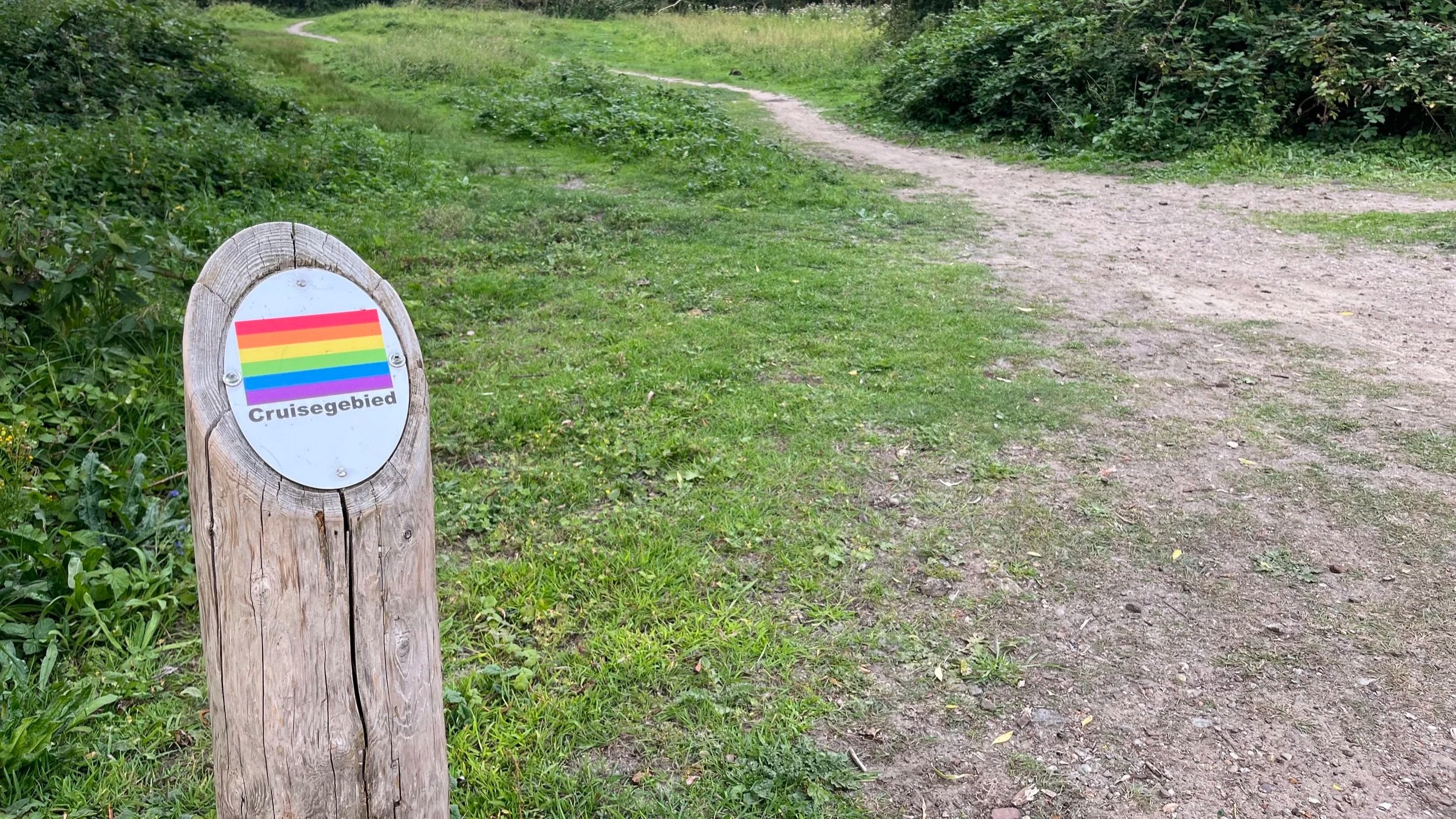 Queer Utopia en Landschap Regulatie: Cruisen en Controle in Amsterdam