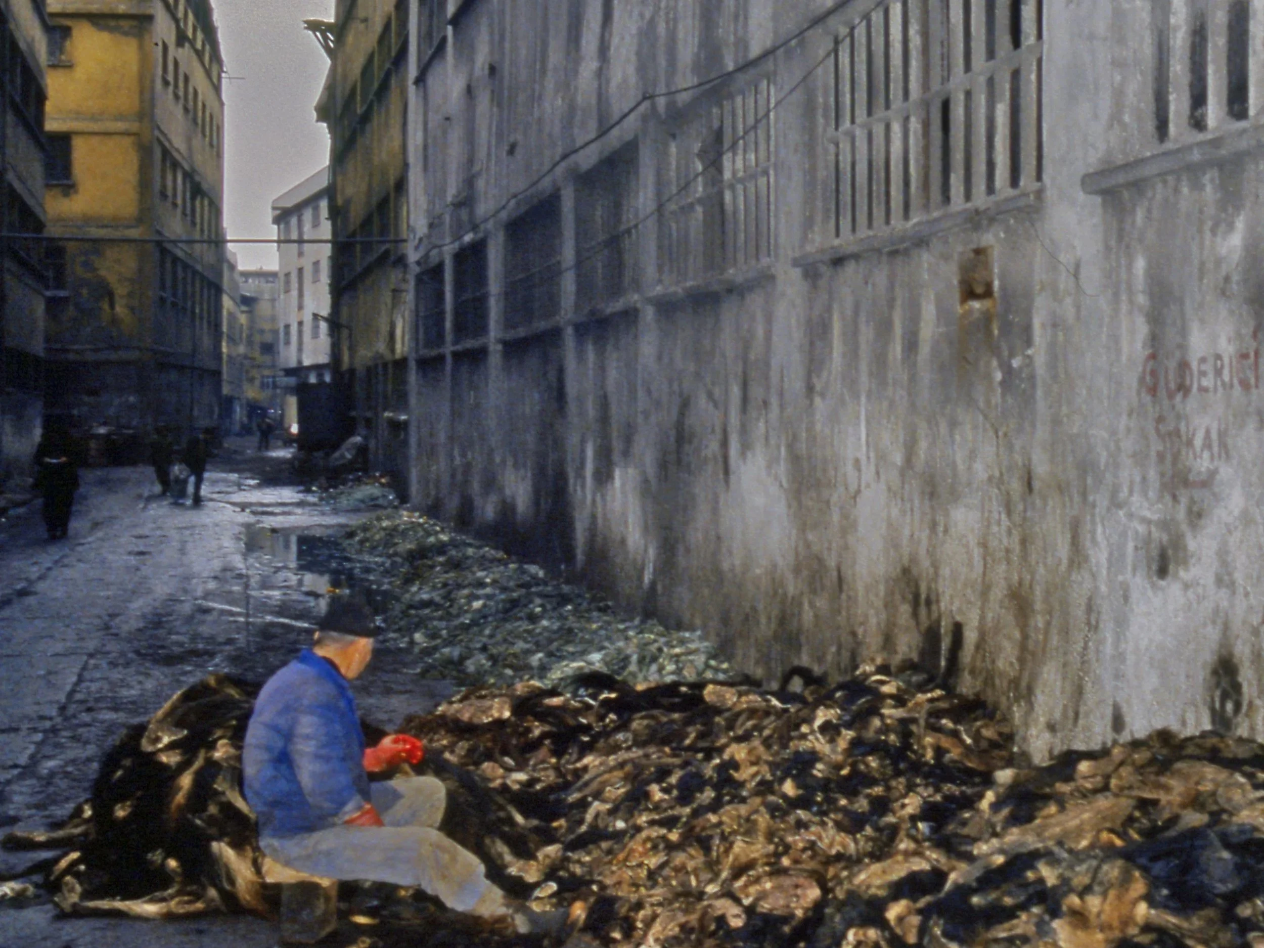 Resettler Nationalism Makes Rental Babies