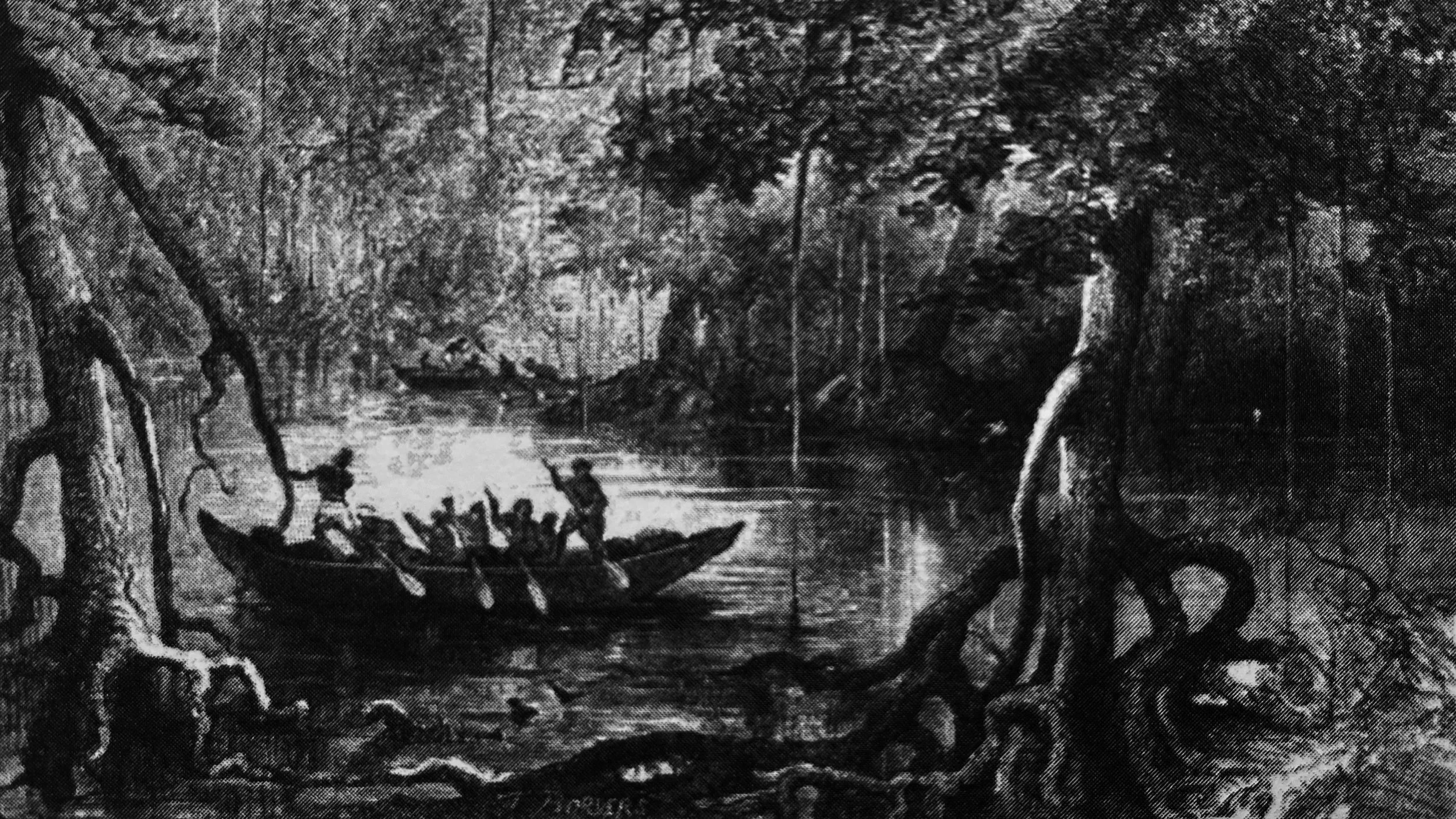 Emergent Lessons from the Mangrove Thicket: Reading Landscape and Architecture